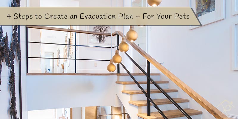 4-Steps-to-Create-an-Evacuation-Plan---For-Your-Pets - Yesurs Realty